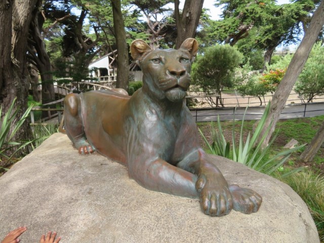 San Fransisco Zoo (24).JPG